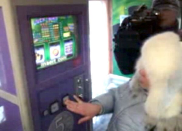 Незаконный игровой автоматы в магазине Хатьково