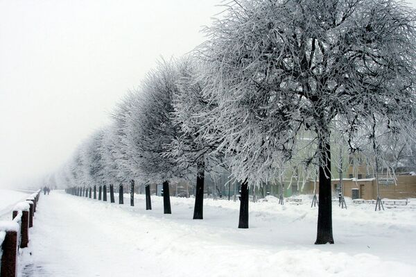 Зимний Петербург 
