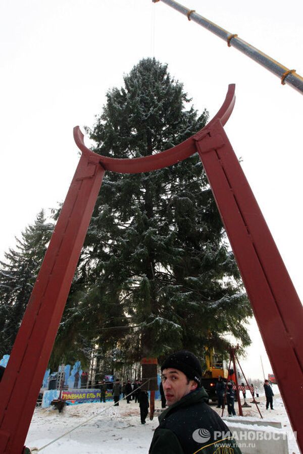 Сруб главной новогодней елки России в Клинском районе Московской области