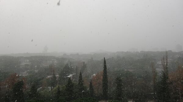 Снегопад в Риме. Архив
