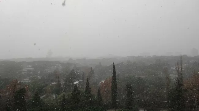 Снегопад в Риме. Архив