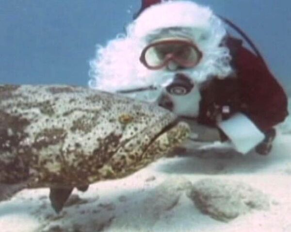 Санта-Клаус ушел под воду и поздравил морского окуня с Рождеством