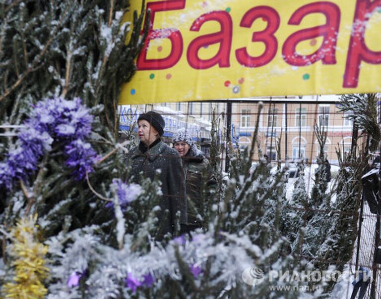 Елочные базары открылись в Санкт-Петербурге