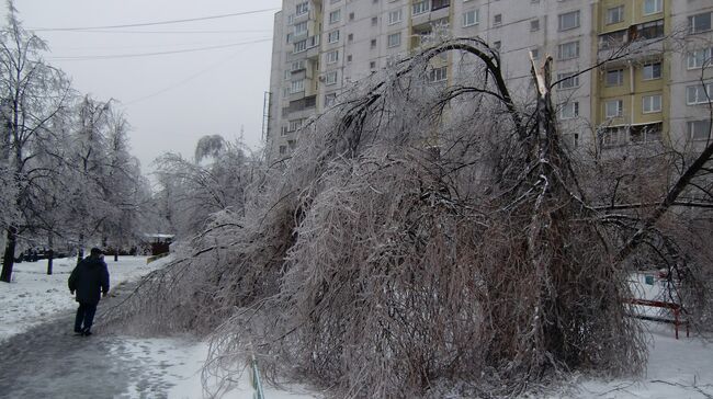 Последствия ледяного дождя в Москве