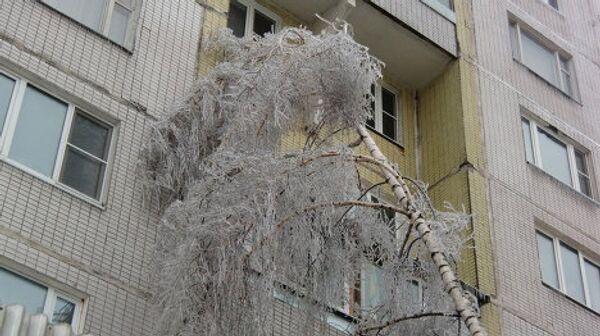 Последствия ледяного дождя в Москве