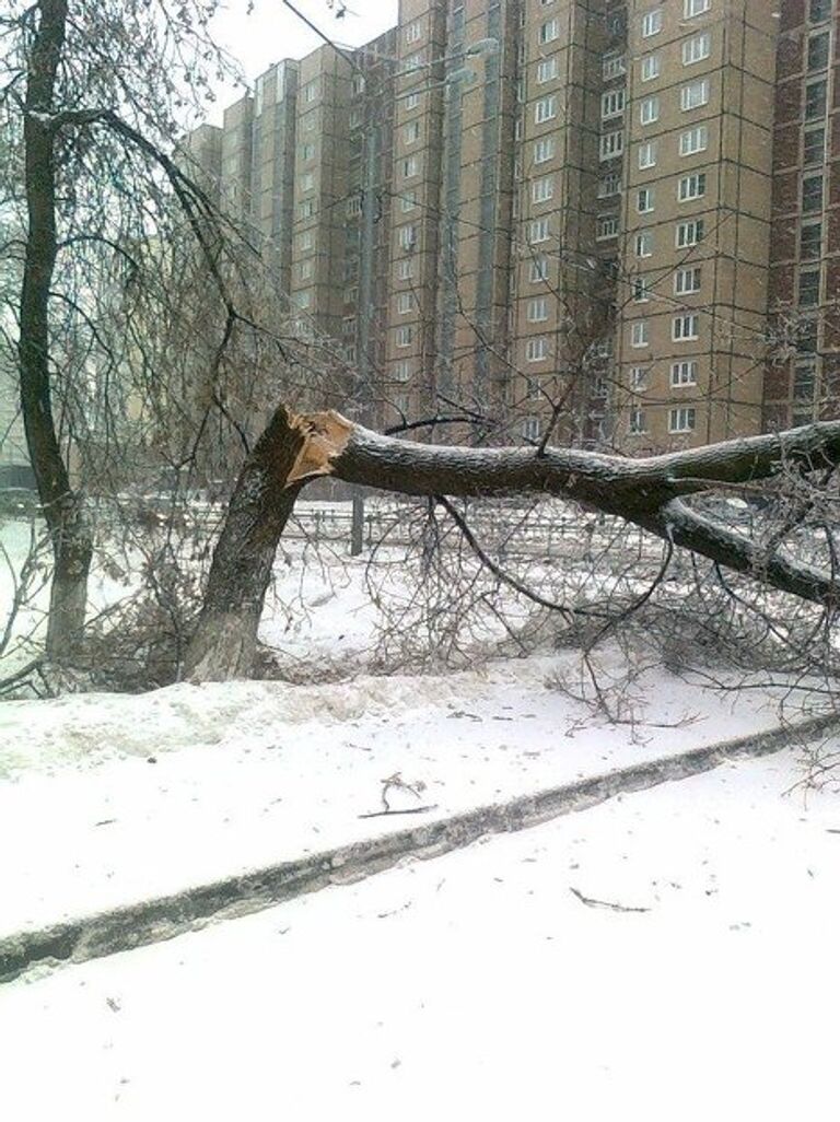 Последствия ледяного дождя в Москве