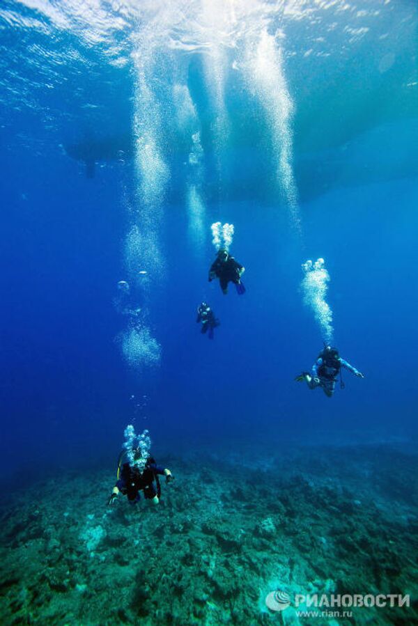 Подводный мир. Остров Рафаэль