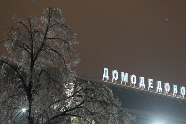 Аэропорт Домодедово отправил все рейсы, задержанные 26 и 27 декабря