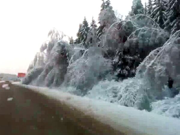 В подмосковном Звенигороде на дорогу грозят упасть ледяные деревья