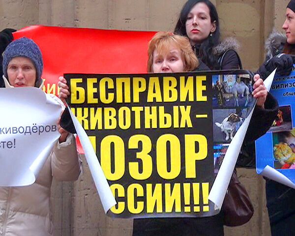 Несанкционированный митинг в защиту животных прошел в Петербурге