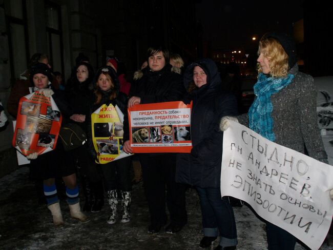 Митинг против уничтожения животных в Петербурге