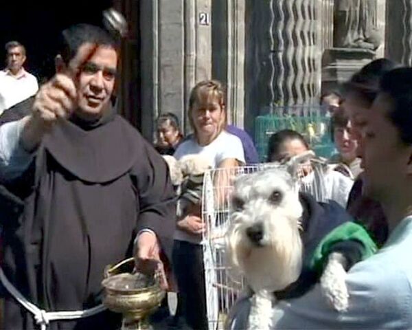 Мексиканцы молятся за домашних животных и окропляют их святой водой