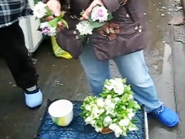 На улице Краснодара начали продавать редкие цветы 