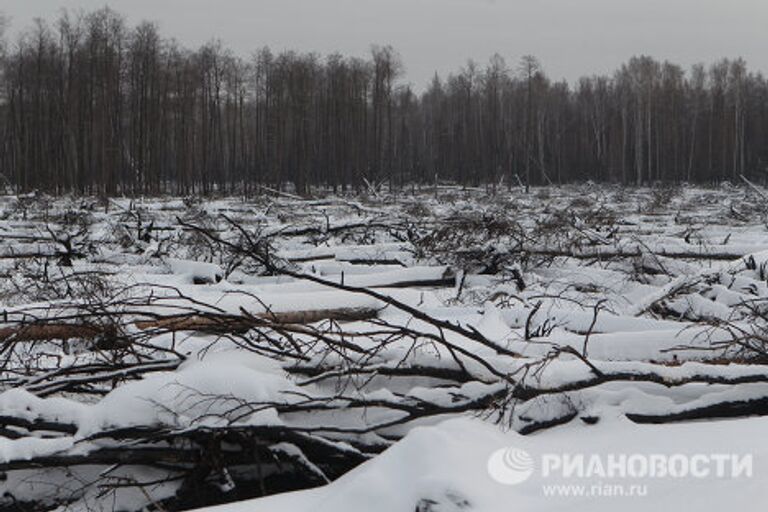 Тушение тлеющих торфяников в Подмосковье