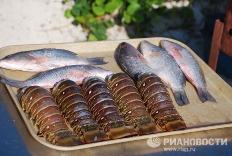 Первая морская круизная программа для русскоговорящих туристов открылась на Кубе