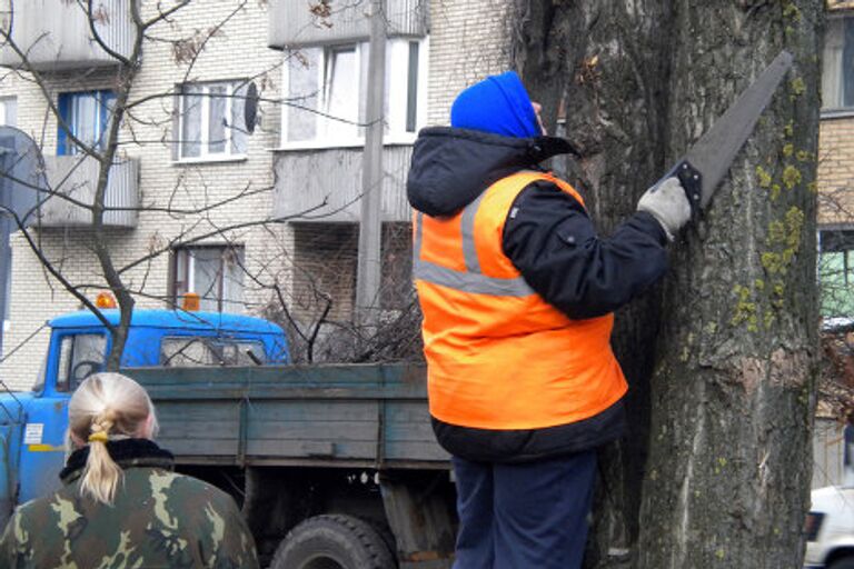 Работа дворников Бреста 