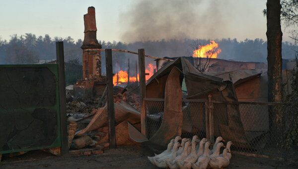 Пожары в Алтайском крае в 2010 году