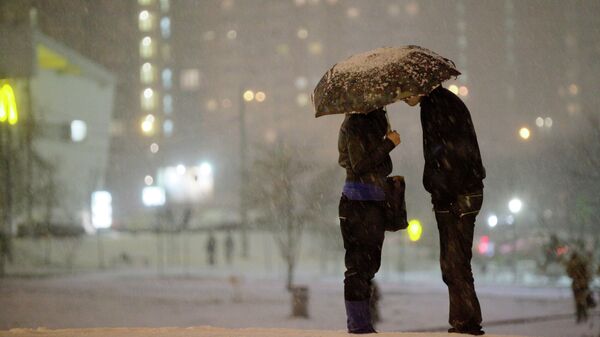 Очередной снегопад начался в Москве