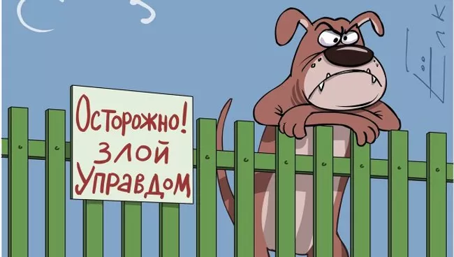 Жители престижного кондоминиума Хилбрук-Тол-Оакс избрали главой своего правления собаку. Одна из курьезных новостей года