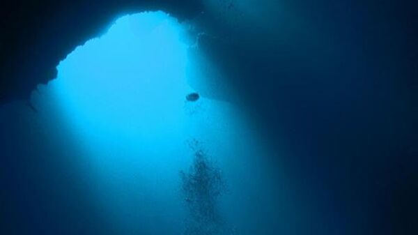 В глубинах океана