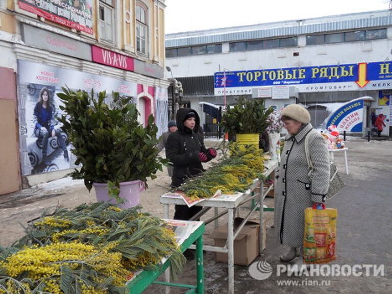 Мимозы в Вологде 