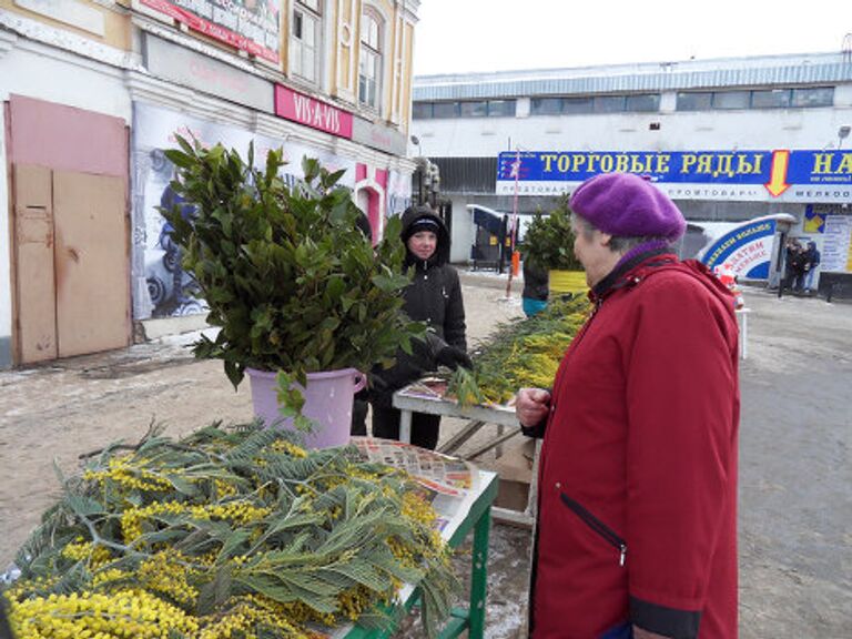 Мимозы в Вологде 