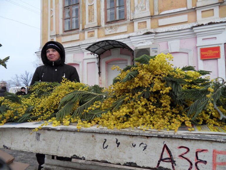 Мимозы в Вологде 