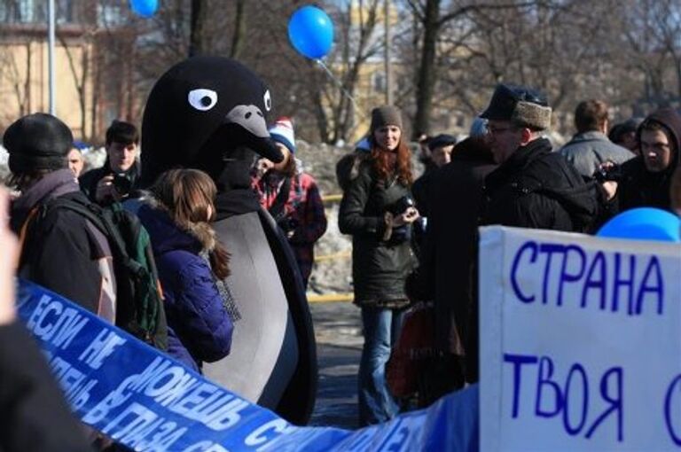 Голубь в Петербурге