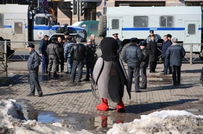 Голубь в Петербурге