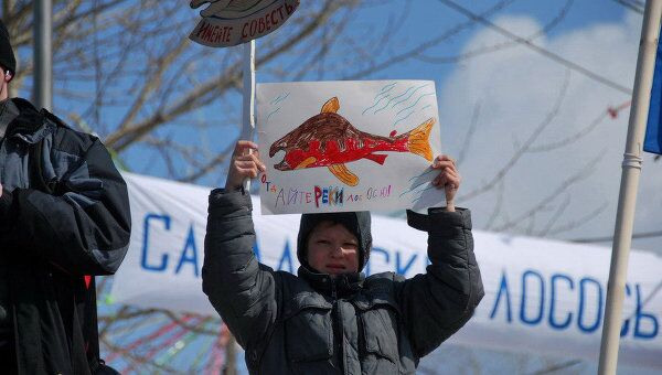 Сахалинские рыбаки и экологи выступили против промысла лосося на нерестовых реках