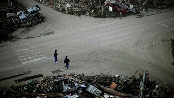 Последствия землетрясения в префектуре Иватэ в Японии, 29 марта 2011 г.