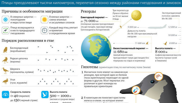 Сезонная миграция птиц