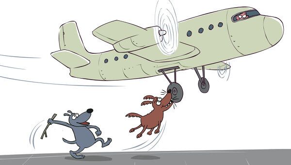 Собаки помешали приземлиться самолету