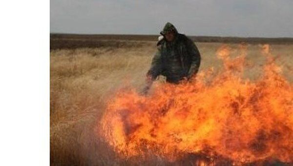 Природный пожар в заказнике Муравьевский в Амурской области