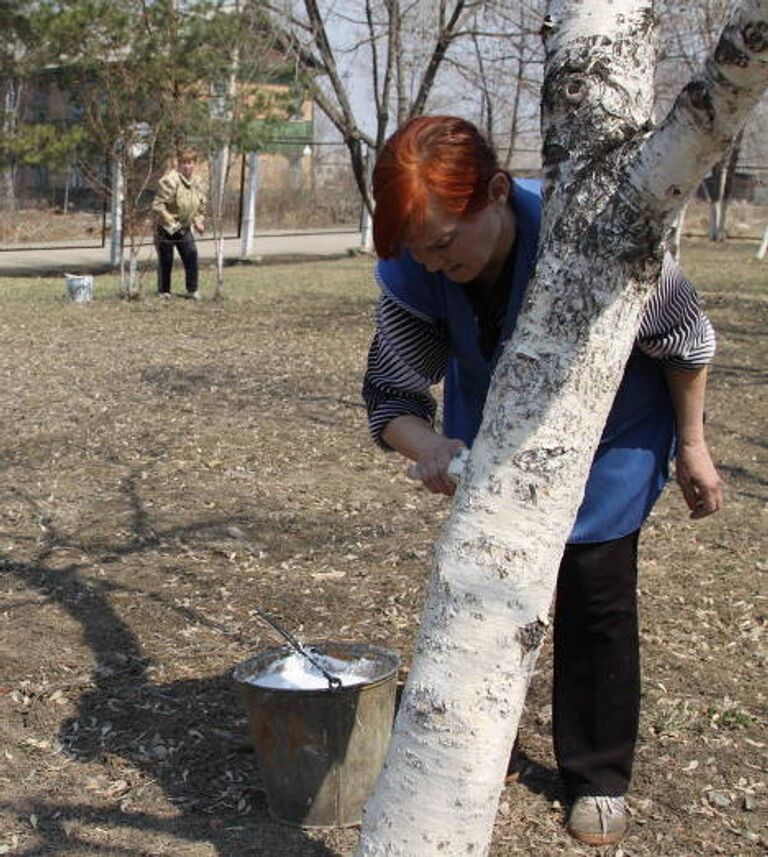 Субботник в Арсеньеве