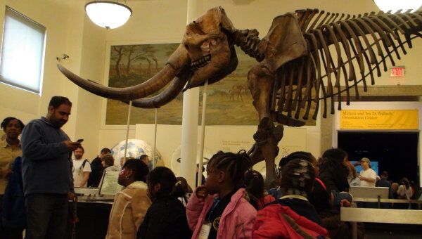 В Нью-Йорке открылась выставка огромных динозавров
