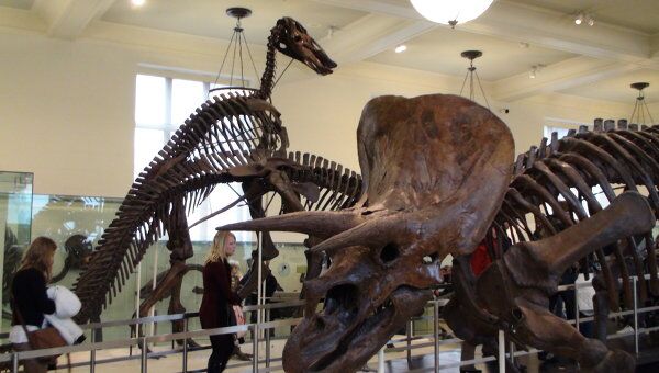 В Нью-Йорке открылась выставка огромных динозавров. Архив
