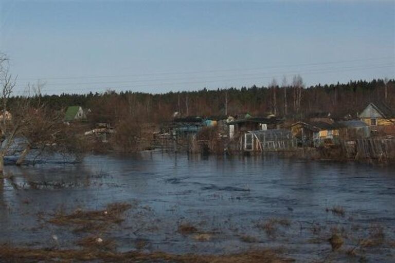 Половодье в Петербурге