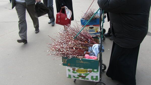 Продажа вербы в Москве
