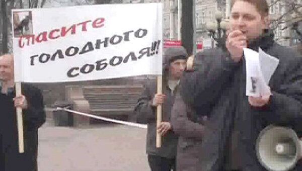Общественность города Пушкино вышла на митинг в защиту черных соболей
