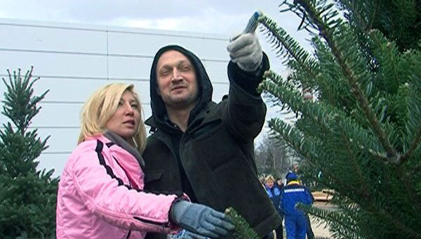 Гоша Куценко посадил фруктово-новогодние елки для детей, больных раком 