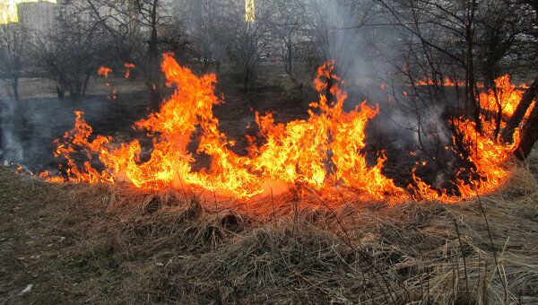 Поджоги травы в Москве и области 