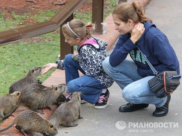 Пасхальные подарки зверям в зоопарке Буэнос-Айреса 