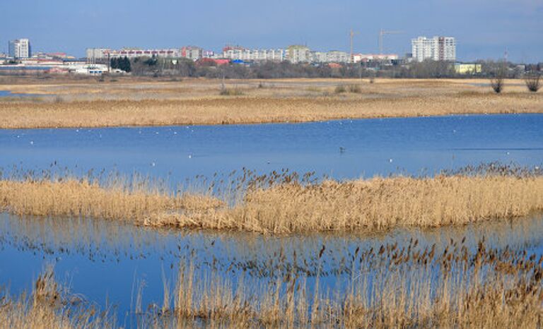 В Омске наступила весна 