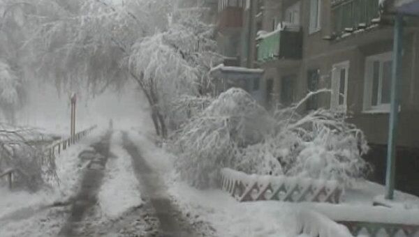 В конце апреля Иркутскую область запорошило снегом 