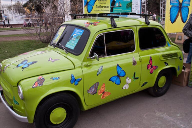 День рождения Московского Дома бабочек