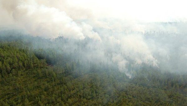 Шесть лесных пожаров площадью 23 гектара бушуют на территории Югры