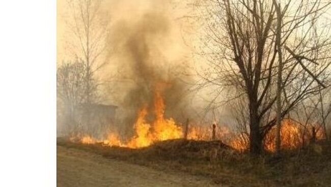 Пожары в Еврейской АО