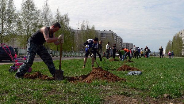 Интернет-активисты высадили в Костроме рощу под названием Аллея Джедаев