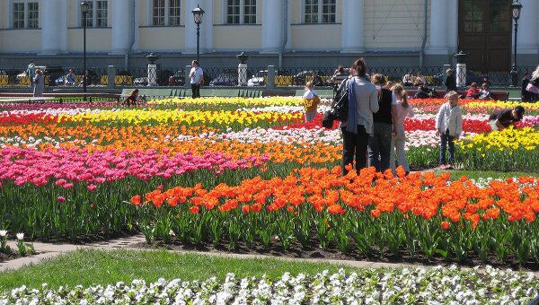 Цветы в Александровском саду 